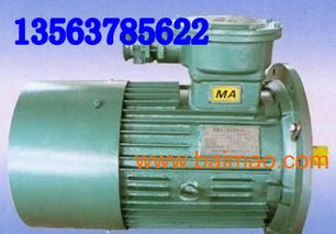 ybb30 4電動機(jī) ybb電機(jī)dsb電機(jī)ybj電,ybb30 4電動機(jī) ybb電機(jī)dsb電機(jī)ybj電生產(chǎn)廠家,ybb30 4電動機(jī) ybb電機(jī)dsb電機(jī)ybj電價(jià)格