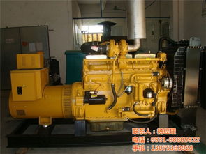 臨沂凱馬發(fā)電機 凱馬發(fā)電機組 凱爾馬 認證商家 高清圖片 高清大圖