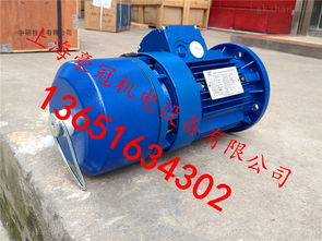 中研技術(shù)專業(yè)生產(chǎn)紫光剎車電機