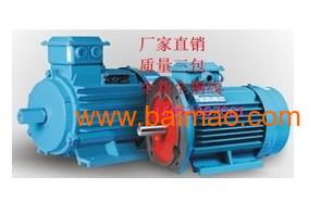 高效節(jié)能三相異步電動機 市場熱銷下的制造趨勢與價格解析